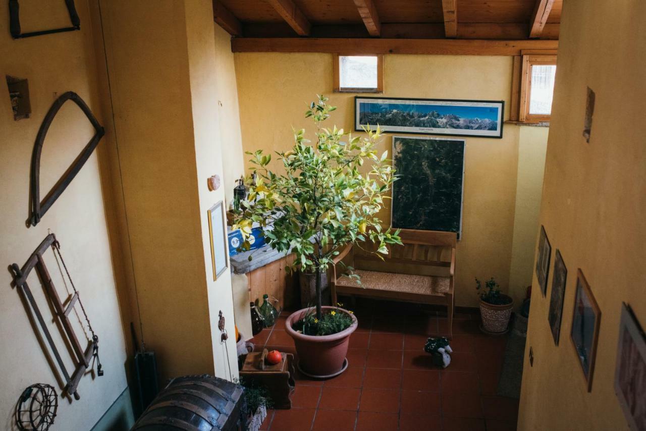 B&B Pedelmont Mezzocorona Εξωτερικό φωτογραφία