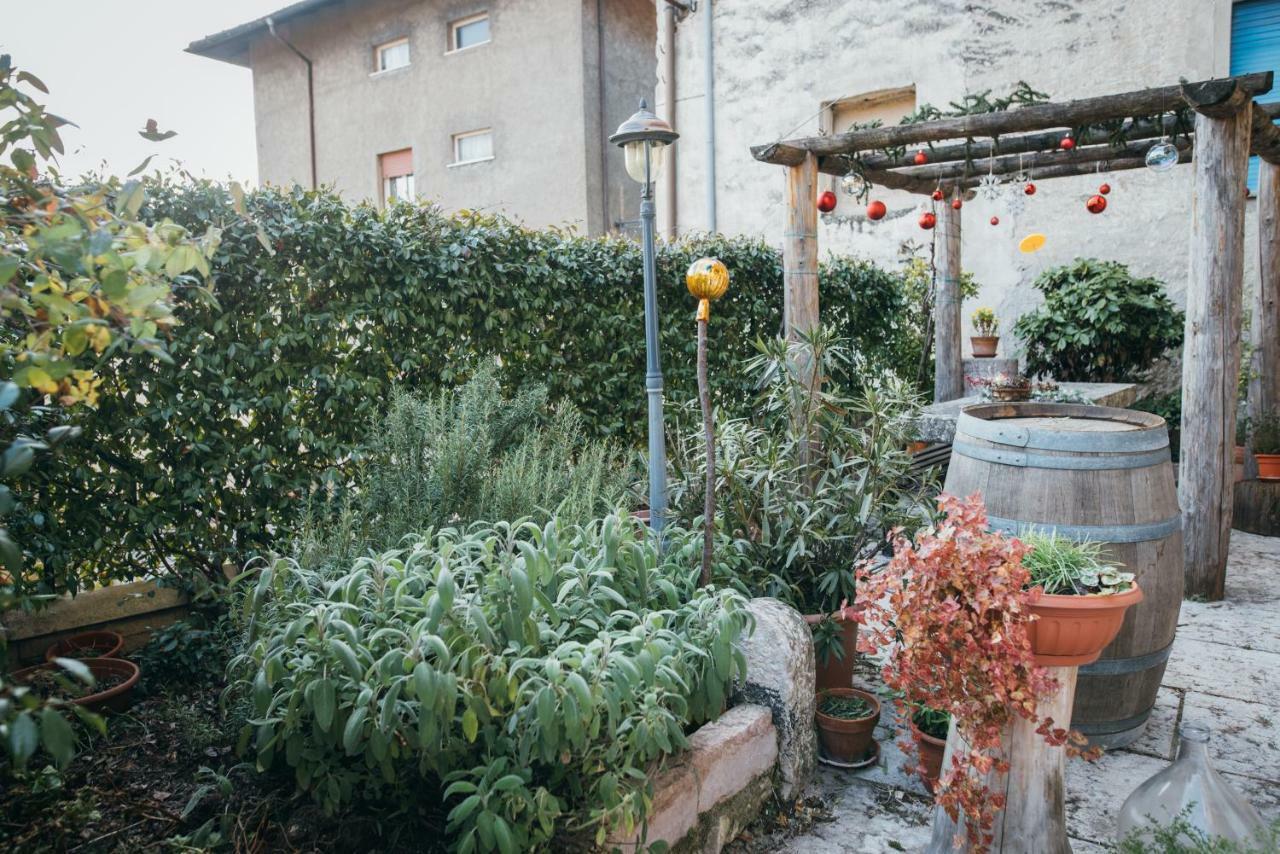 B&B Pedelmont Mezzocorona Εξωτερικό φωτογραφία